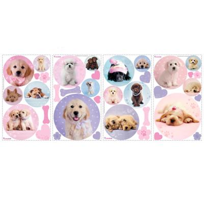 [RM] 러블리 퍼피 (Puppy Dot)